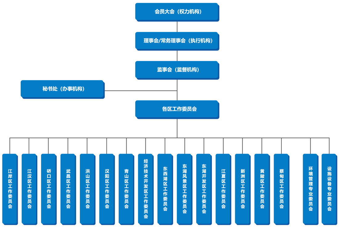 组织结构.jpg